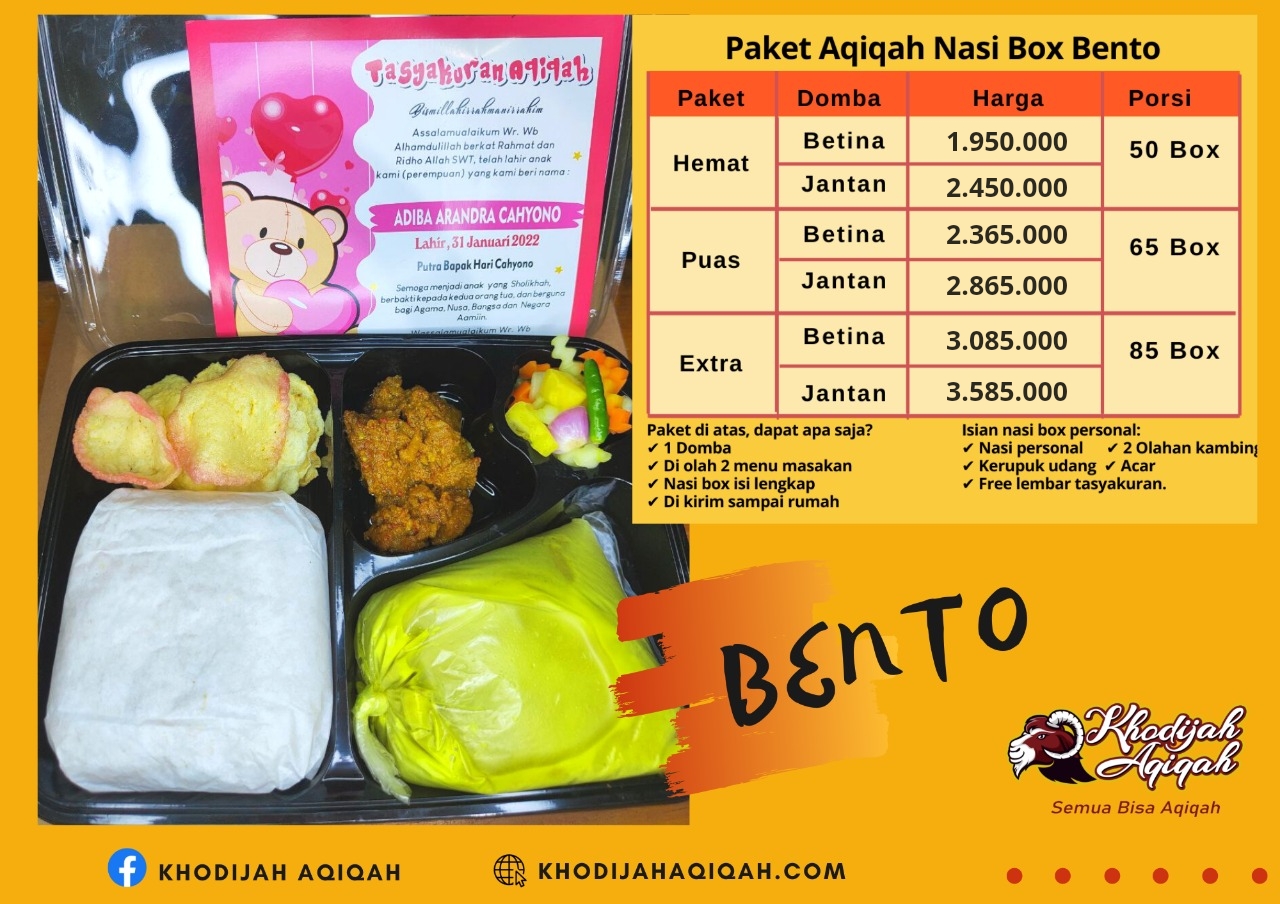 Paket Nasi Box Bento